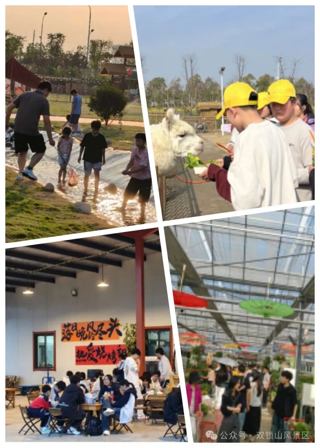 驱蚊器.jpg