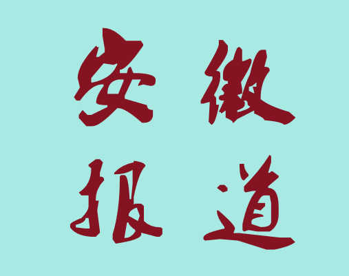大爱润江淮，善举暖人心 ——安徽省残疾人福利基金会高质量发展纪实