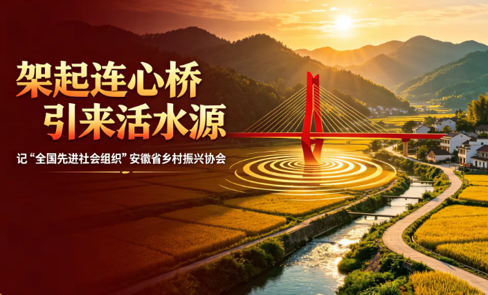 架起连心桥，引来活水源——记“全国先进社会组织”安徽省乡村振兴协会