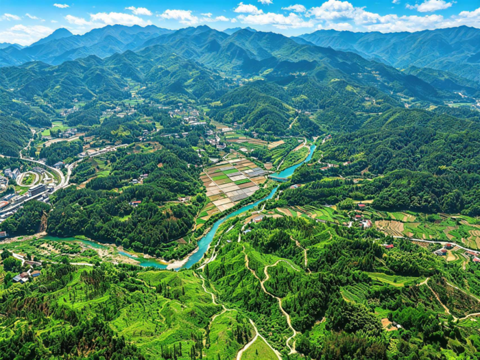 深耕大别山林下沃土，生态种出山间本草与云端鲜蔬