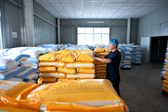 杨欢：“新农人”创业 让特色年糕香飘四方