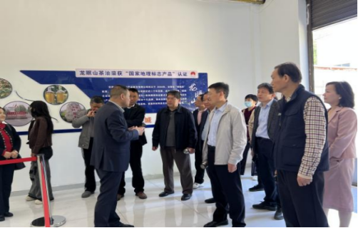 龙眠山健康产业发展沙龙在桐城成功举办
