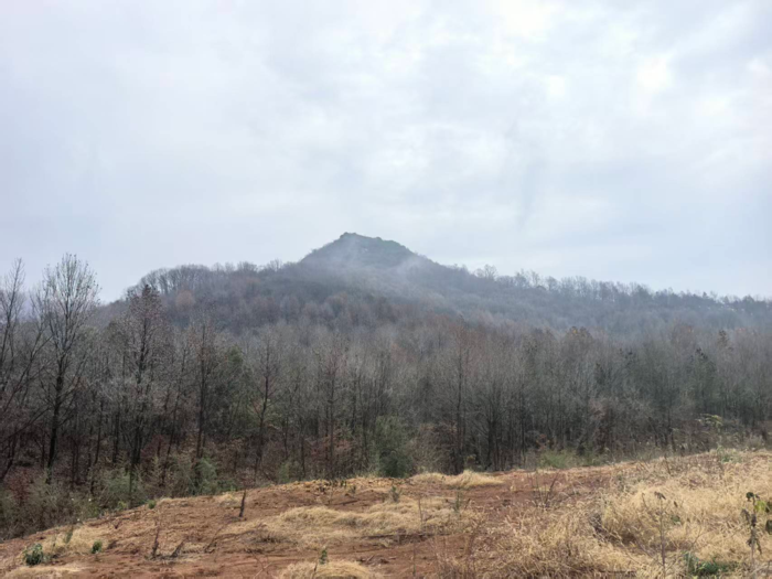 旅游看点：第七届祭拜鸿钧老祖祈福大典在岱鳌山隆重举行