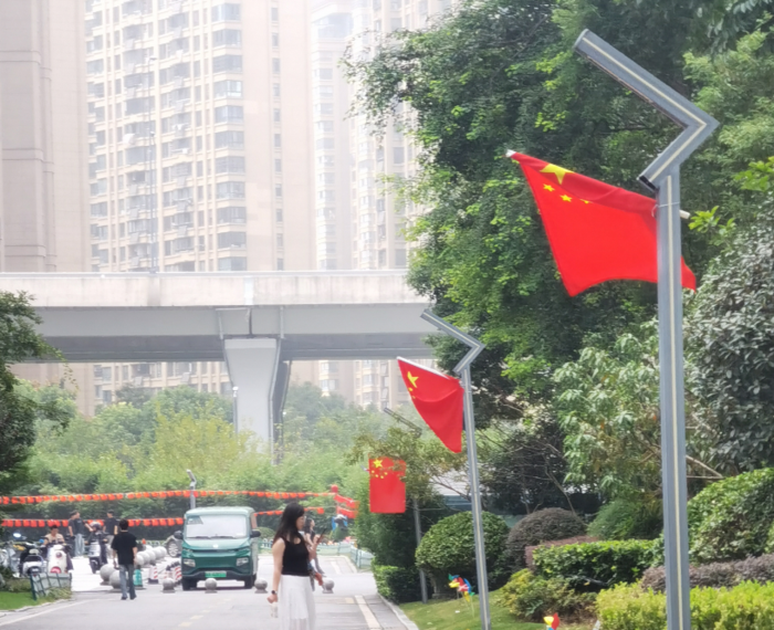 杨玉能：岁月的国庆红