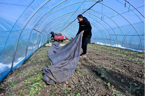 肥东：产业园里春耕忙助增收