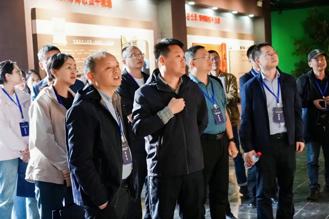 舒城文翁研学小镇：跨越千年文脉，成都石室中学寻根溯源（图5）